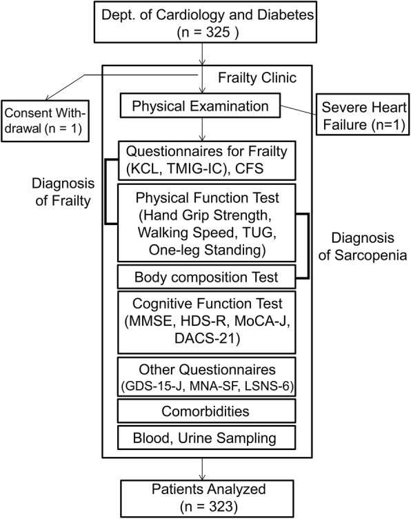 Fig. 1