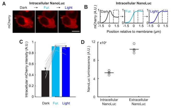 Figure 2—figure supplement 1.