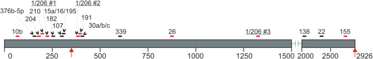 Fig. 2