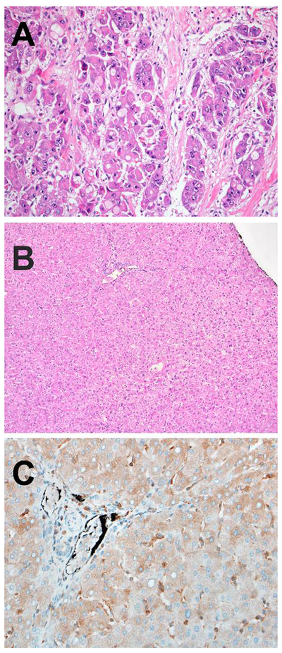 Figure 2 –