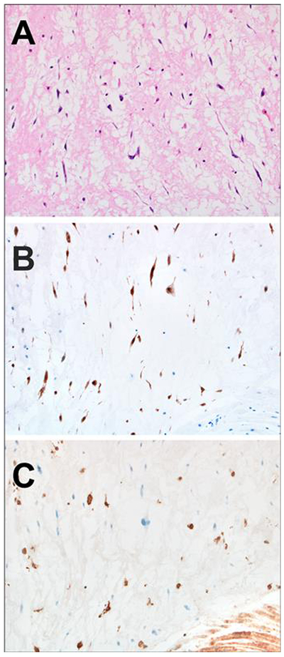 Figure 3–