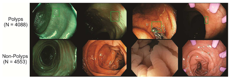 Figure 1: