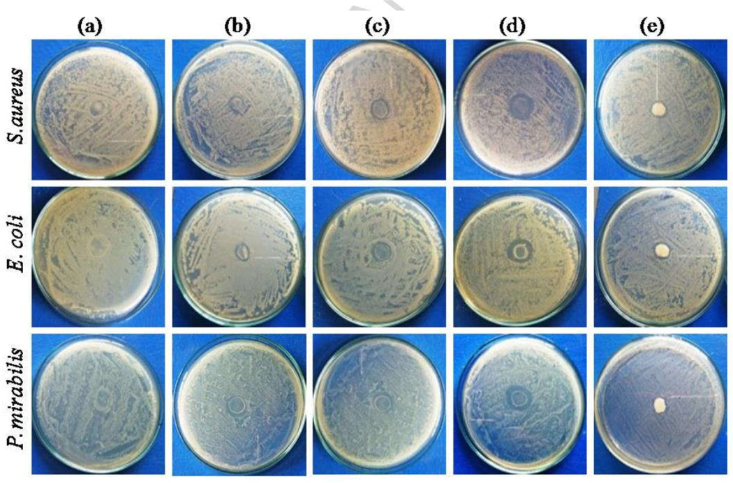 Fig.7