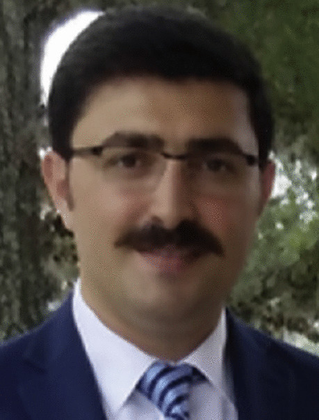 graphic file with name 11517_2021_2492_Figc_HTML.jpg