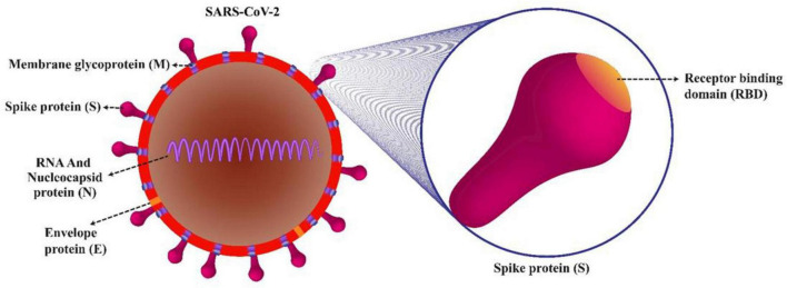 FIGURE 1