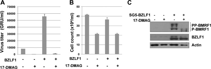 Fig 8