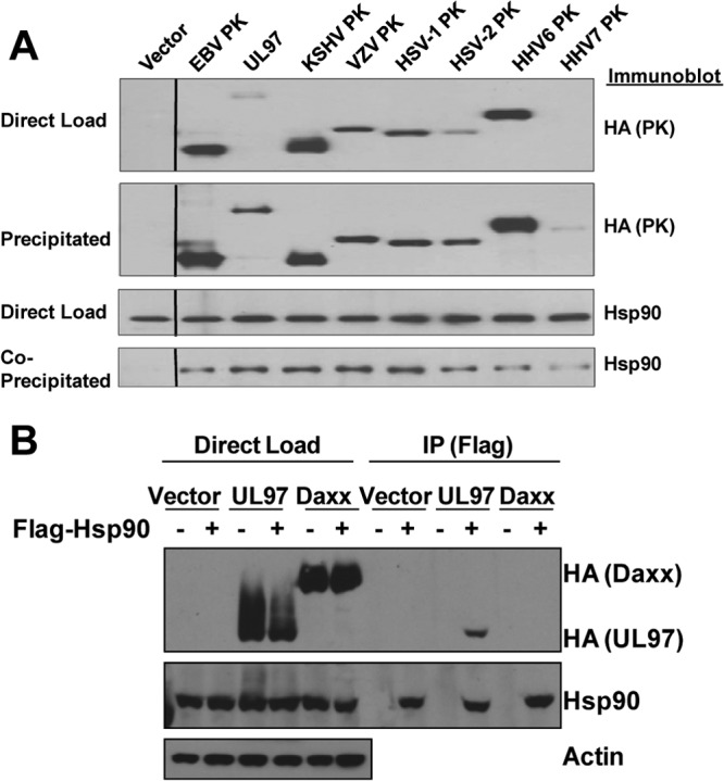 Fig 5