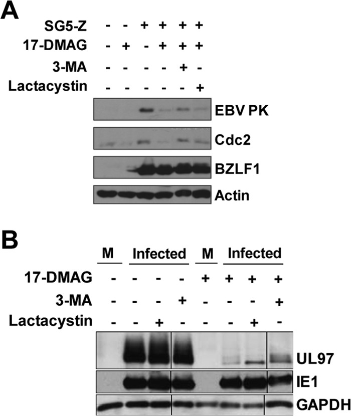 Fig 11