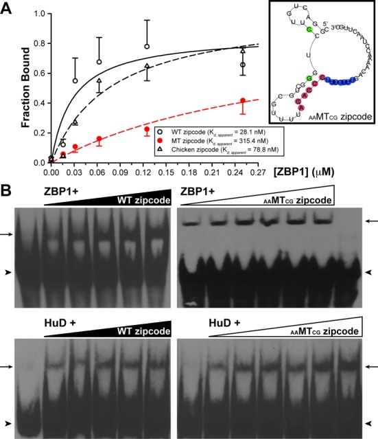 Figure 5.