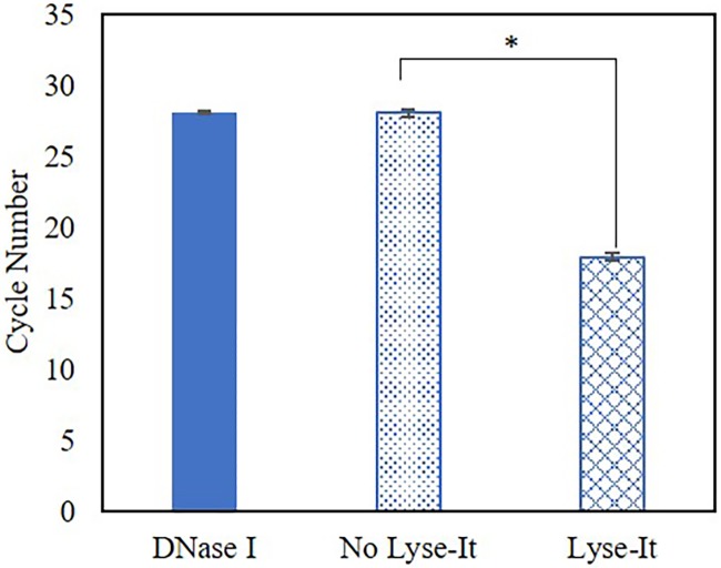 Fig 12