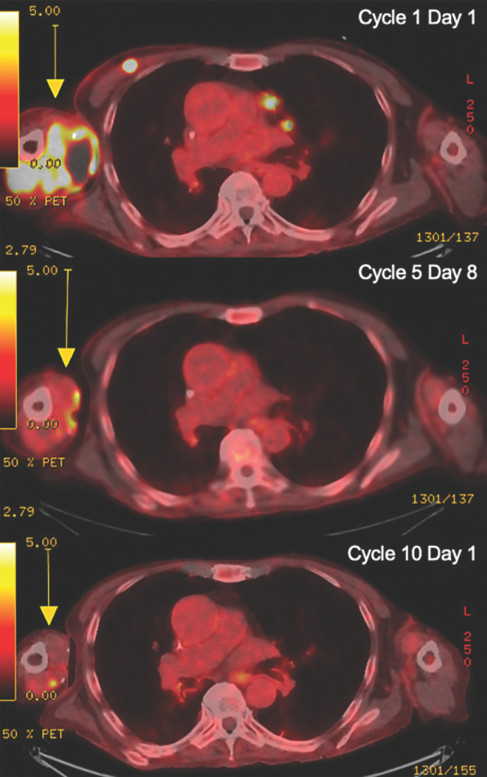 Fig. 3