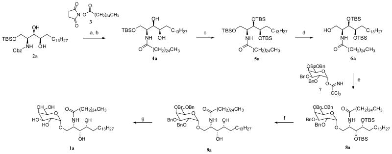 Scheme 1