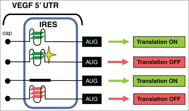 Figure 6.