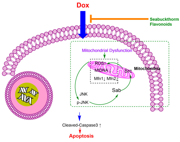 Figure 10