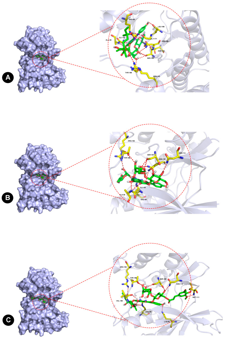 Figure 9