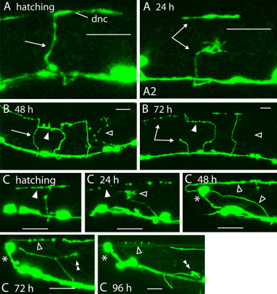 Figure 3.