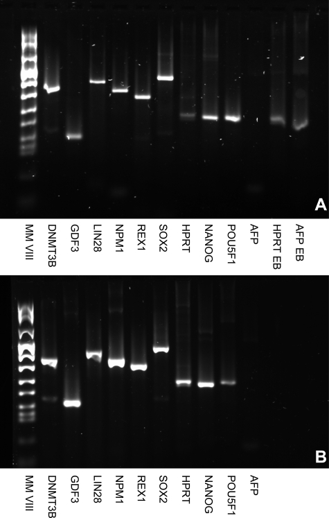 Figure 4