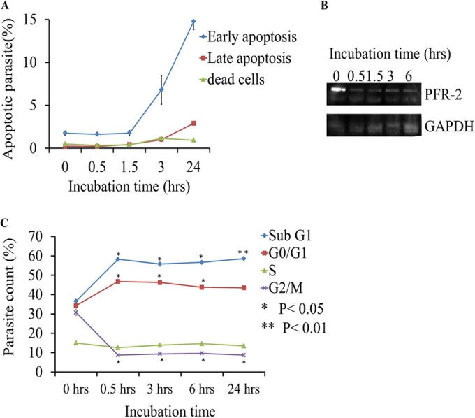 FIG 4