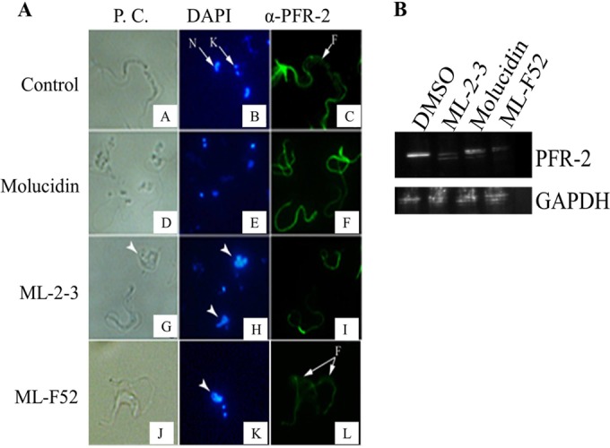 FIG 3