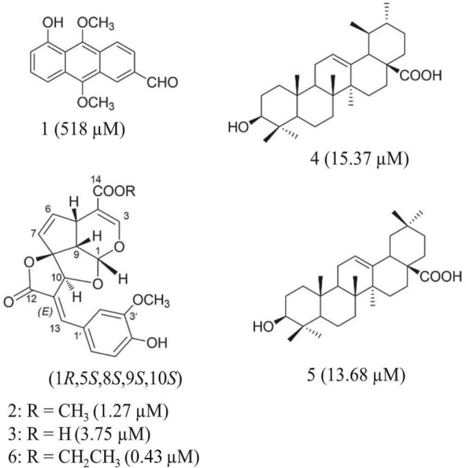 FIG 1