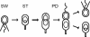 Fig. 1.