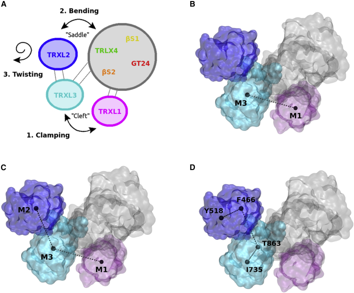 Figure 2