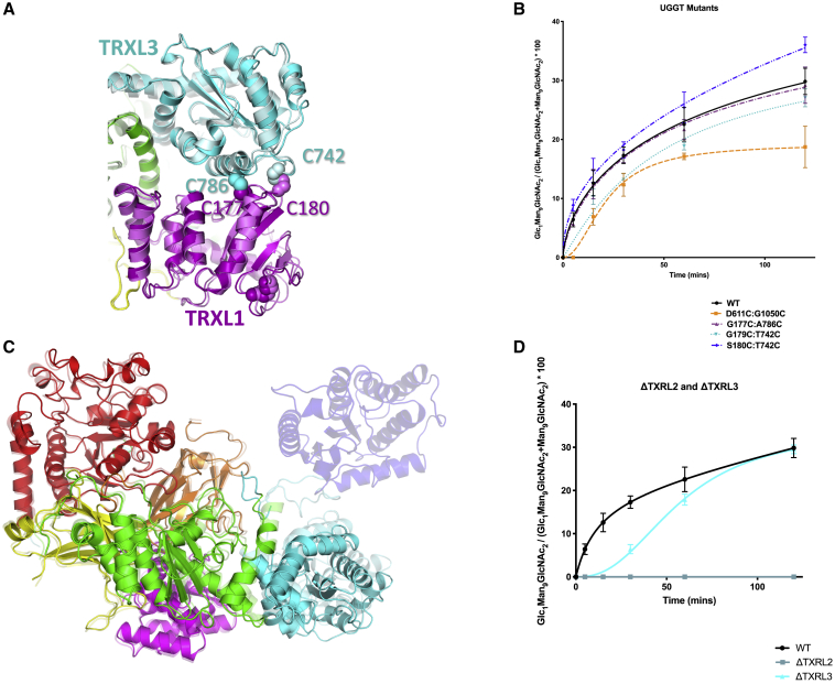 Figure 6