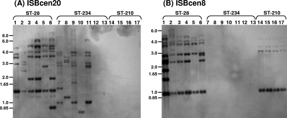 FIG. 2.