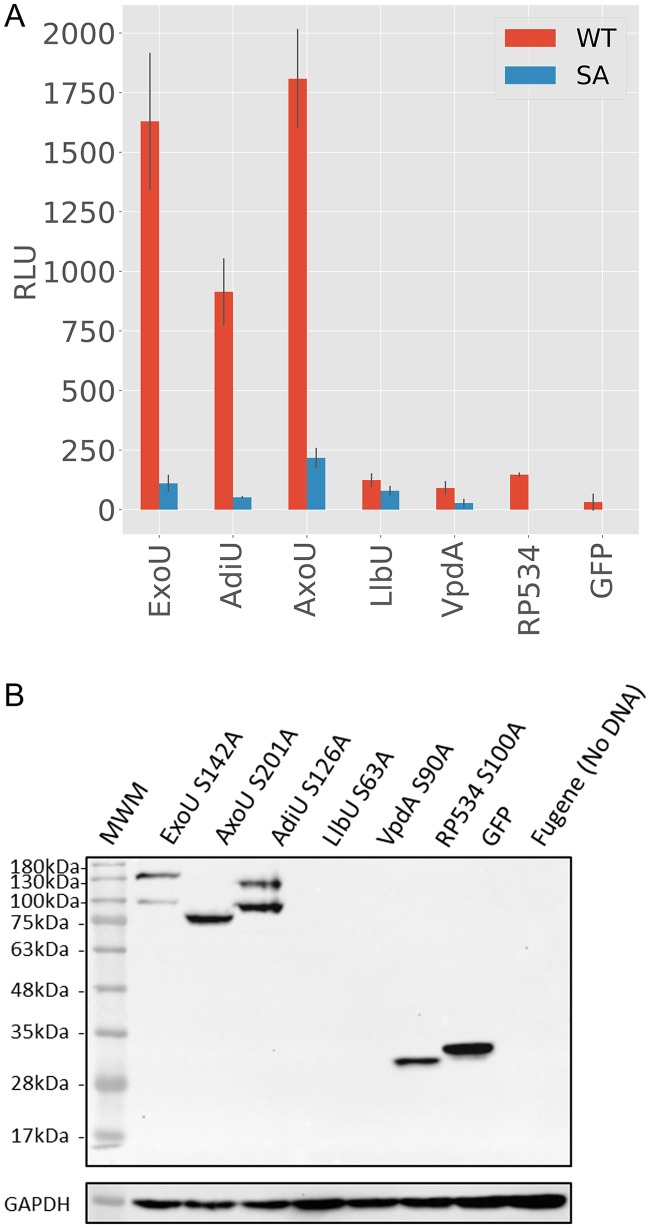 FIG 4