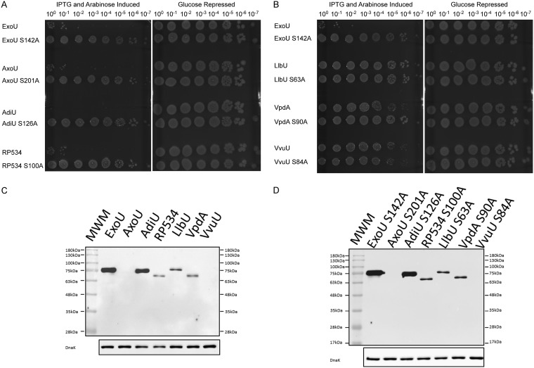 FIG 2