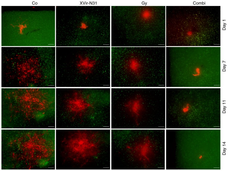 Figure 4