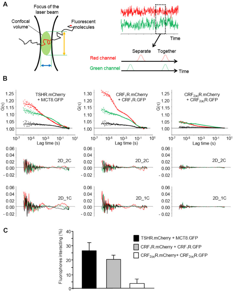 Fig. 3