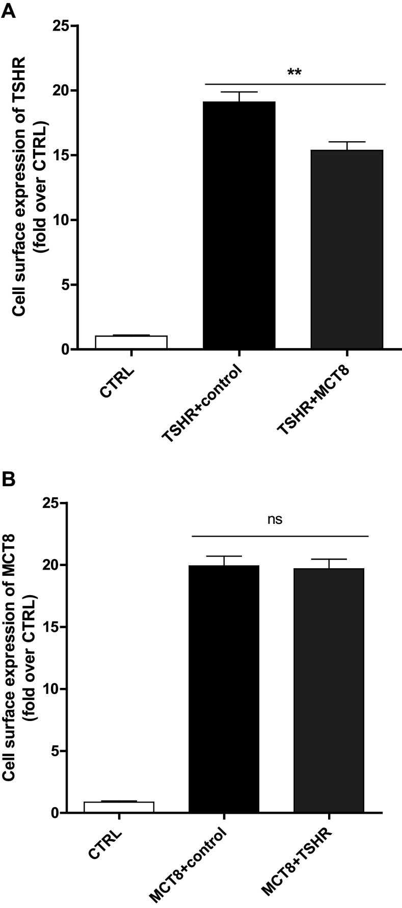 Fig. 4