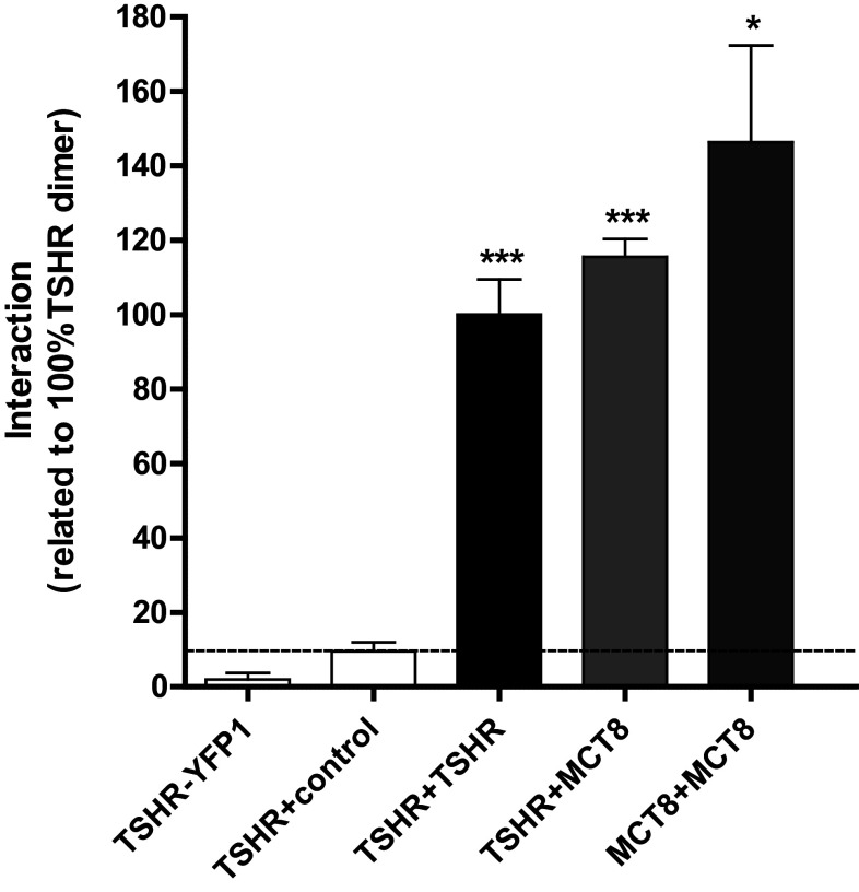 Fig. 1