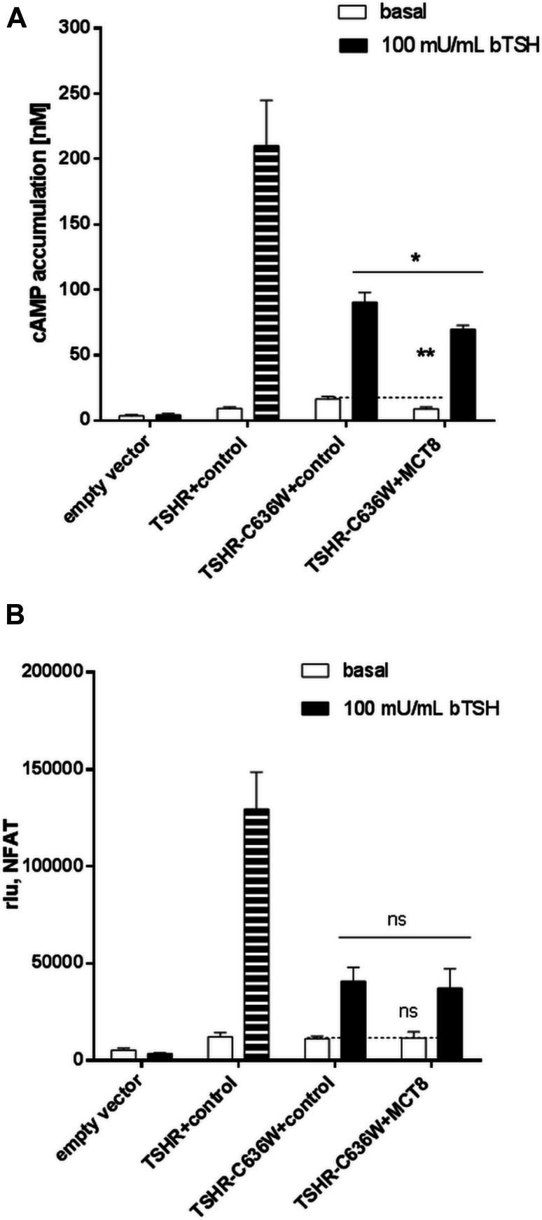 Fig. 7