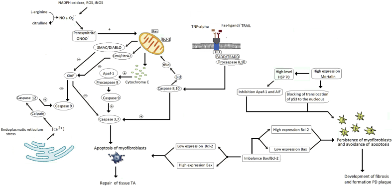 Fig. 3