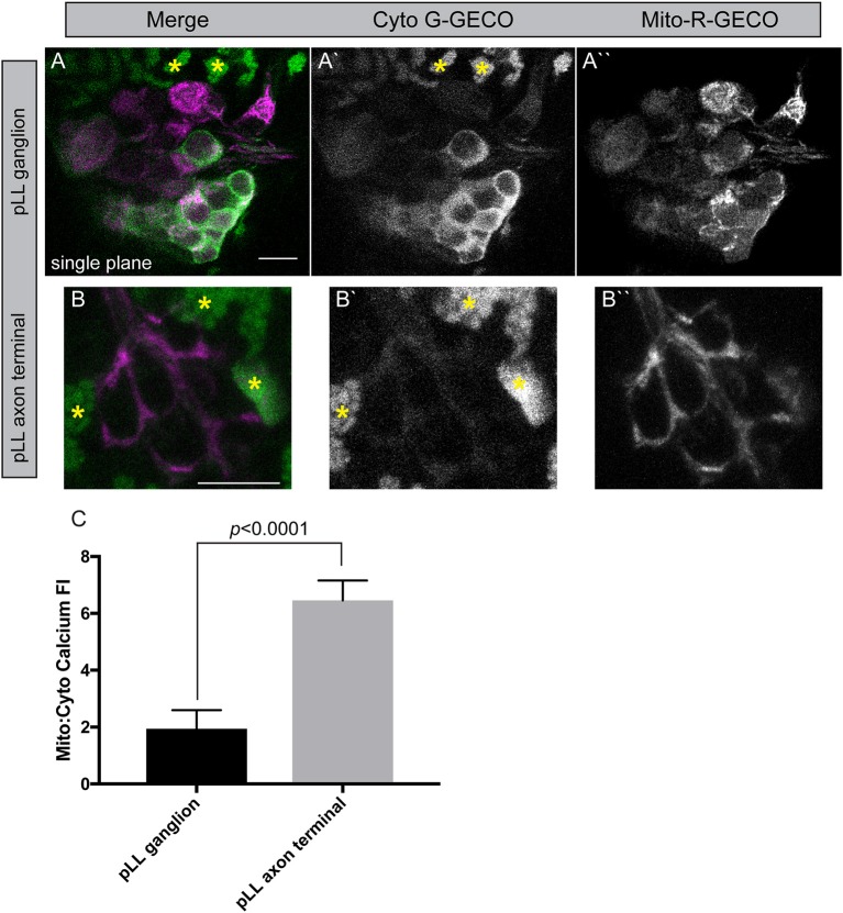 Figure 6