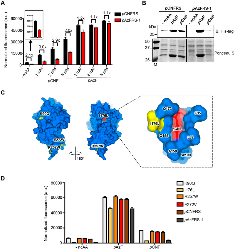 Figure 2.