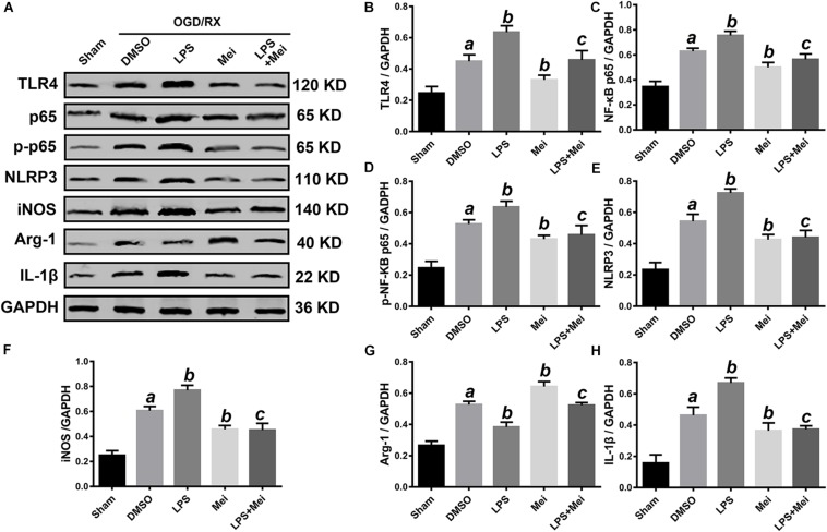 FIGURE 11