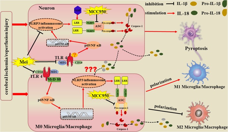 FIGURE 12