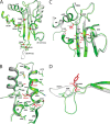 Figure 5.