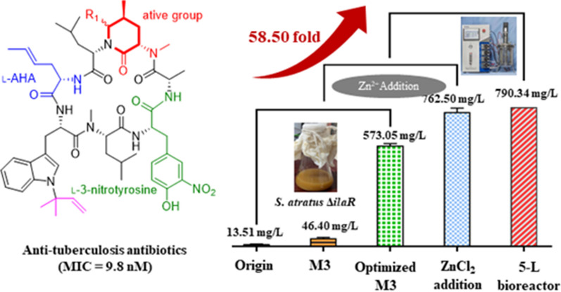 graphic file with name 40643_2022_599_Figa_HTML.jpg