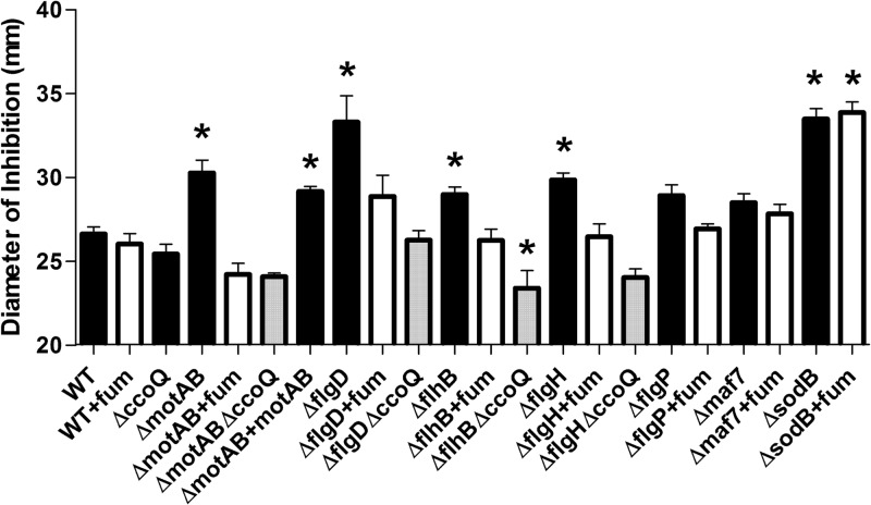 FIG 3