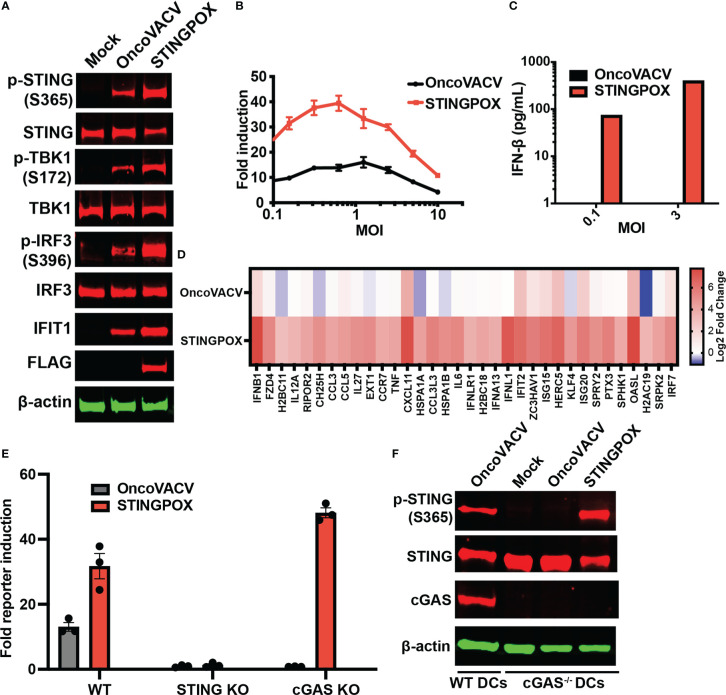 Figure 4