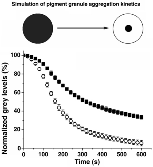 FIGURE 4: