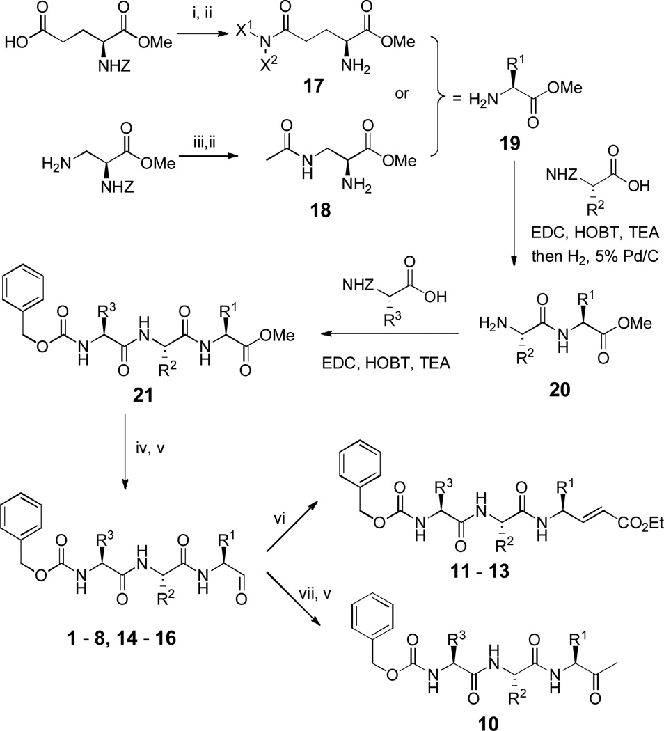 Scheme 2