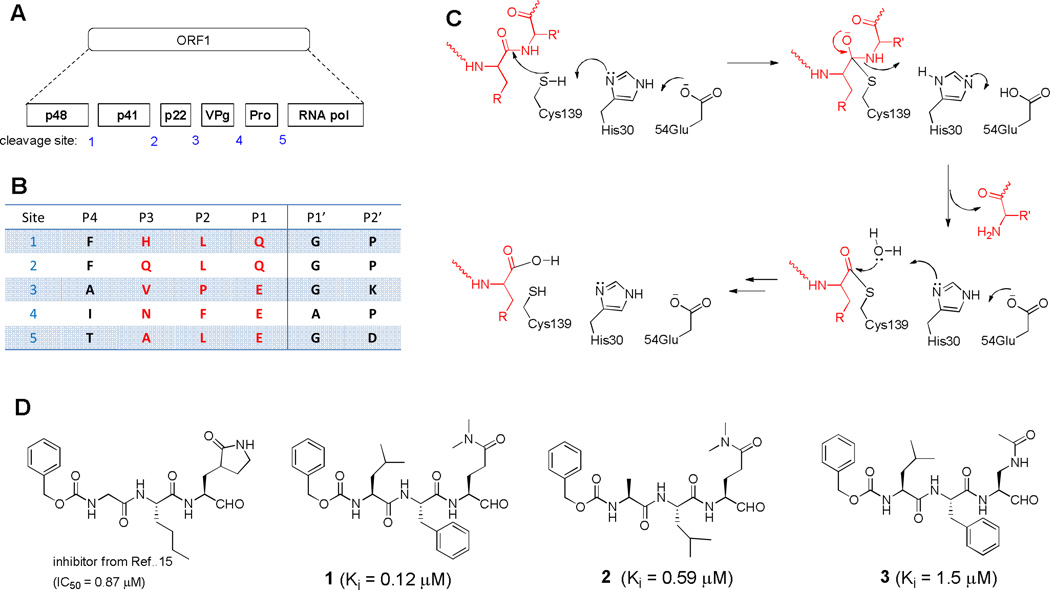 Fig. 1