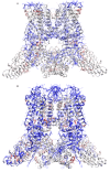 Figure 2—figure supplement 3.