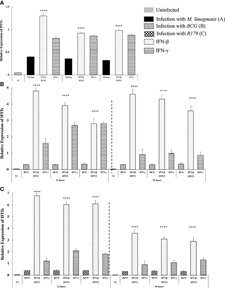 Figure 4