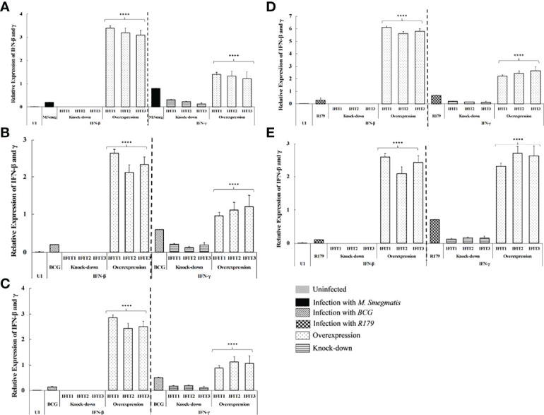 Figure 3